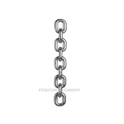 Stainless Steel Lifting Chain