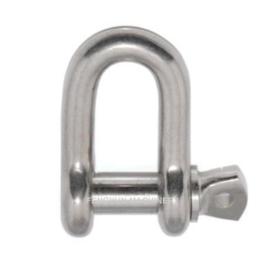 Stainless Steel D Shackle with Screw Pin European Type